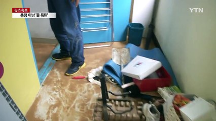 150mm 넘는 물 폭탄에 잠기고 무너지고 / YTN (Yes! Top News)