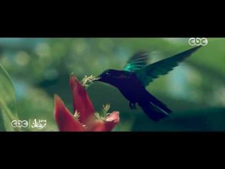 “ خالق الخلق “ غناء خالد حلمي