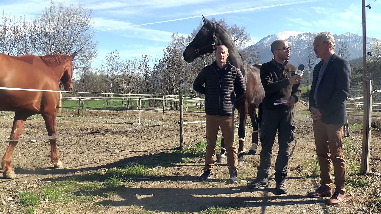 Hautes-Alpes : lancement du Grand Prix Départemental de la Construction Durable dans les écuries de Sylvain Guasco