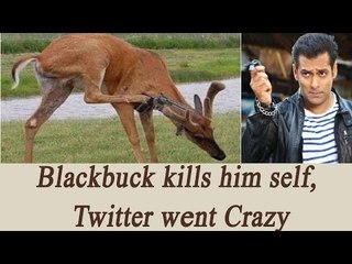 Salman Khan acquitted , twitter went crazy | Oneindia News