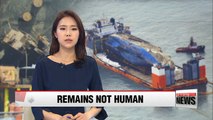 Remains found from Sewol-ho ferry turn out to be animal bones