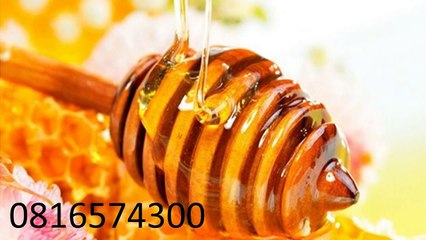 0816574300 Jual Madu Anak Deiyai