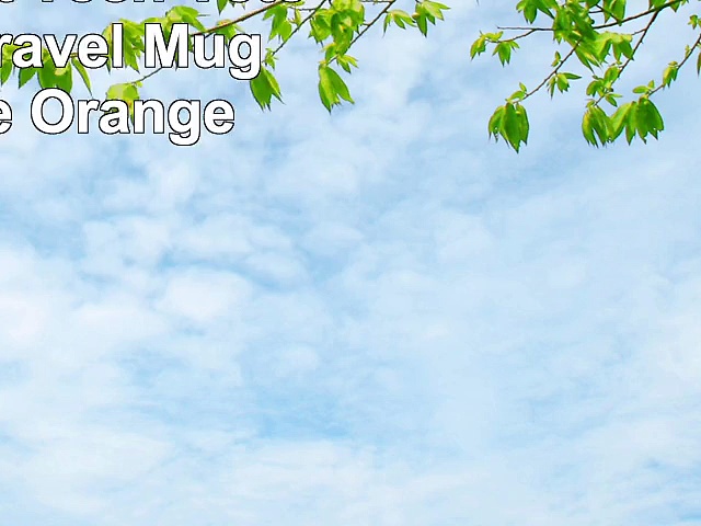 3dRose Vet Tech Veterinarian Travel Mug 14Ounce Orange