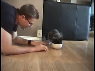 Le maître de ce chat s'installe par terre et il fait semblant de manger dans son bol. La réaction du félin va vous faire