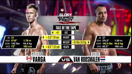 Robin van Roosmalen vs Gabriel Varga