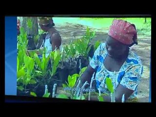 Le NEPAD la baguette magique de l'Afrique, ne pas très efficace