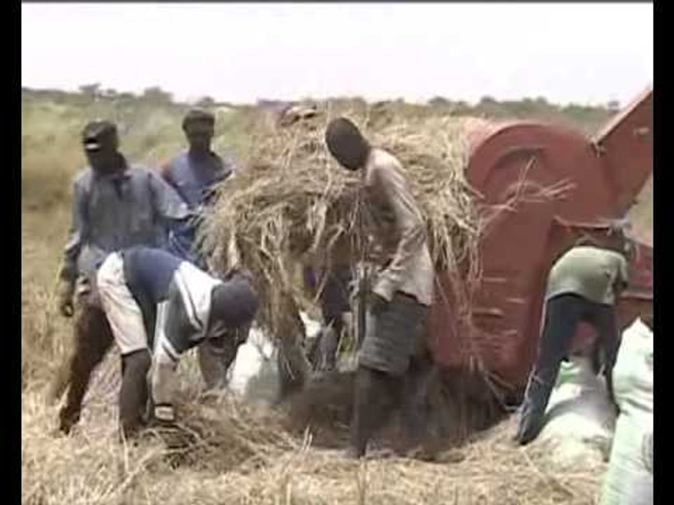 Des bergers assènent des coups de coupe-coupe à des paysans
