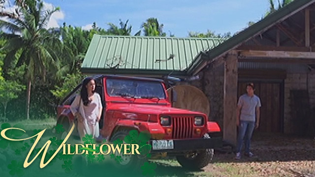 Wildflower: Diego brings Ivy to Lily's house | EP 32