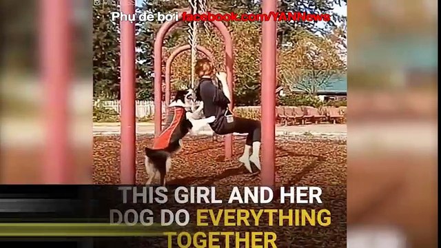 Đây chính là lý do giải thích vì sao Bồ thì không có nhưng chó phải có 1 con