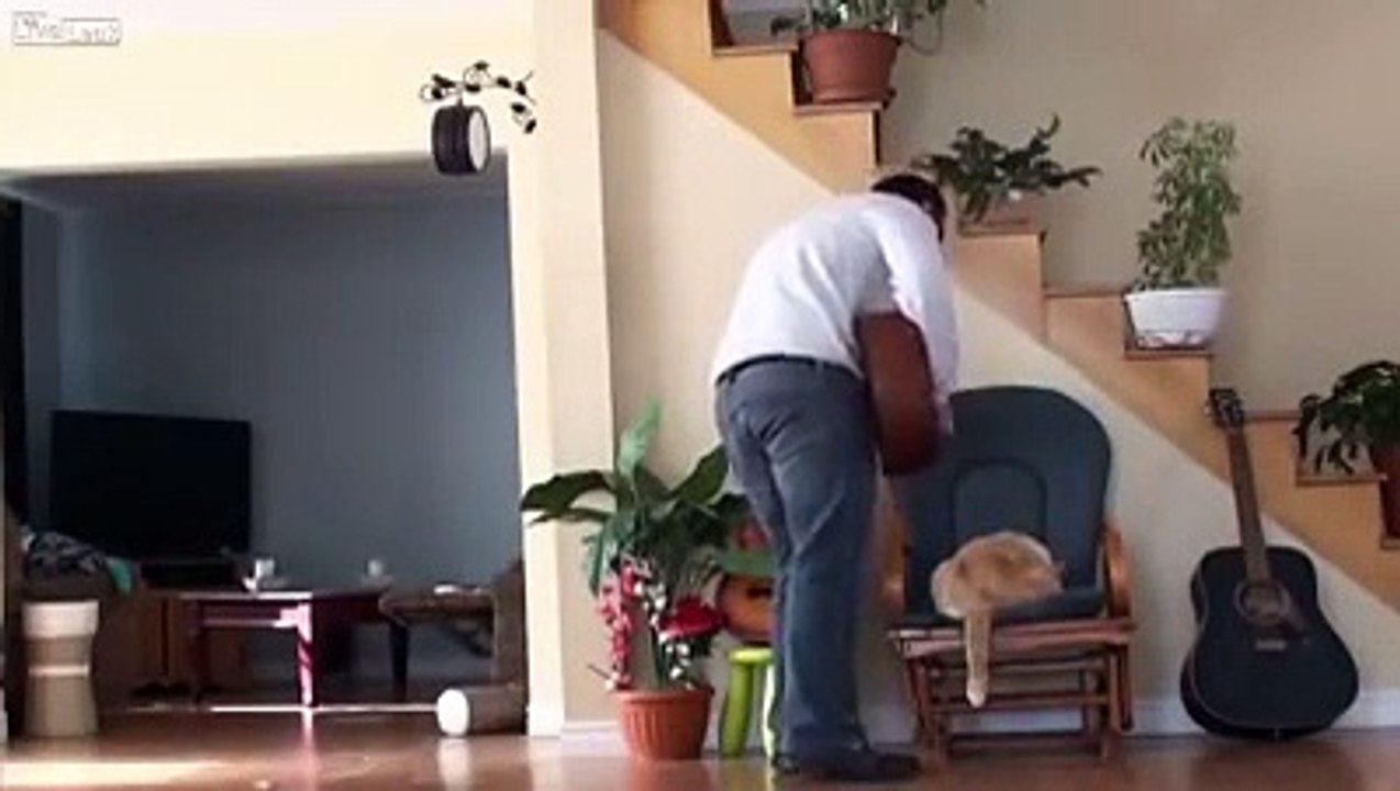 Lorsque j'ai vu cet homme malfaisant maltraiter son chat, cela m'a particulièrement ÉNERVÉ mais ensuite..