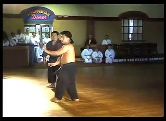 Karate Sanchin Kata
