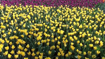 The  colourful world　Part14