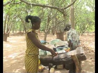 La filière anacarde identifiée comme moteur de développement à Ziguinchor