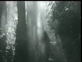 Raat Aur Din Diya Jale