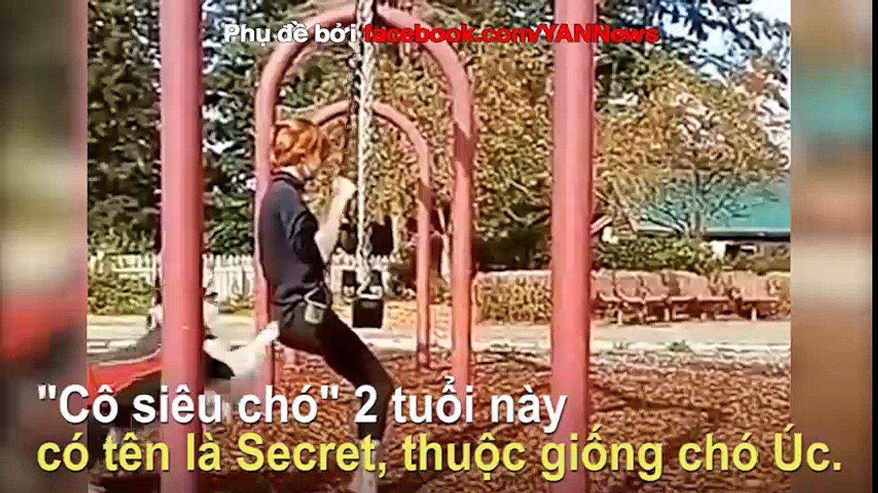 Đây chính là lý do giải thích vì sao "Bồ thì không có nhưng chó phải có 1 con"