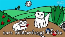 Theycallmemeaow | English with แมว - COLOUR สีต่างๆ