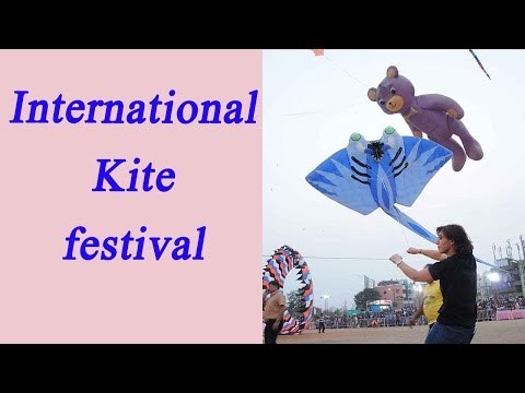 International Kite festival 2017: Teddy bear, bird, balloon kites; see pics | Oneindia News