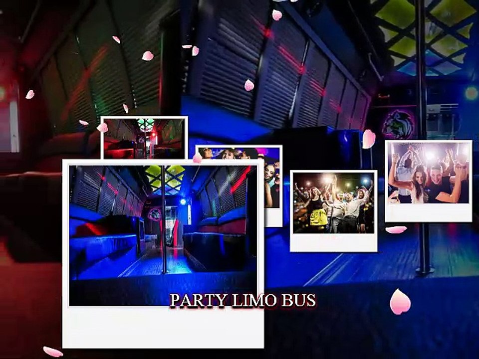 DC Party Bus Specials