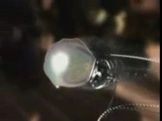 Amv Final fantasy IX