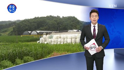 지적장애인 12년간 무임금 노역...경찰 수사 / YTN (Yes! Top News)