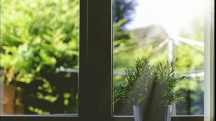 4 Tips to make your Apartment Eco Freindly