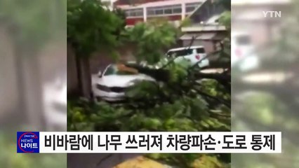 비바람에 나무 쓰러져 차량 파손·도로 통제 / YTN (Yes! Top News)