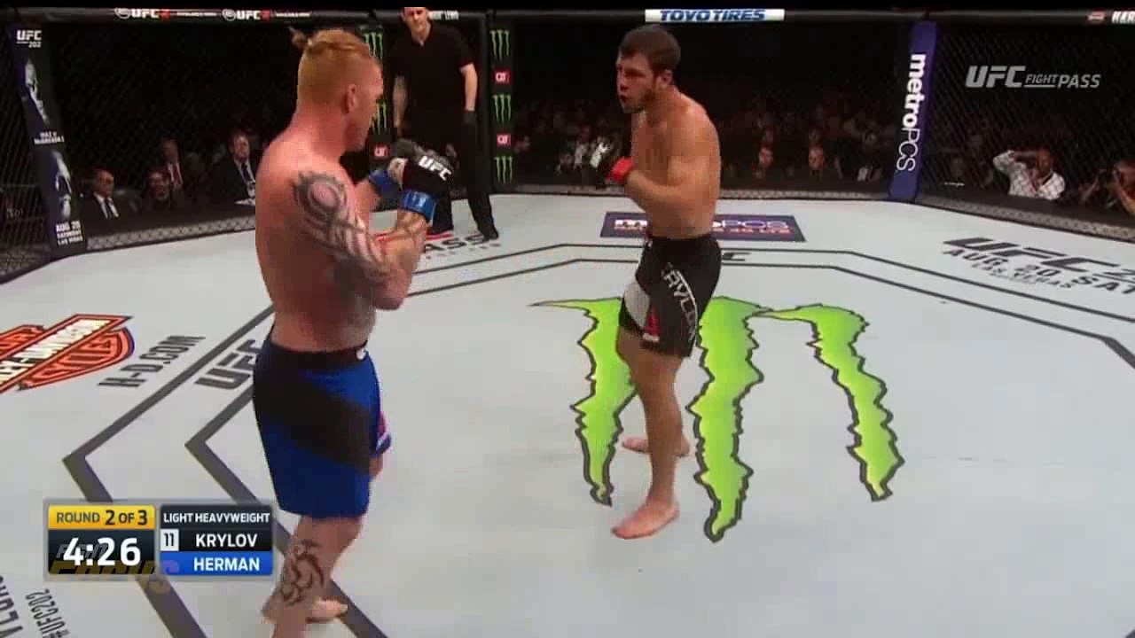 Top 50 Knockouts in MMA History