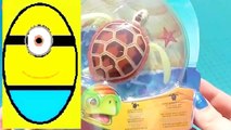 Toys review toys unboxing. Robo turtle. Turtle robot rofofish unboxing toys egg surprise tv