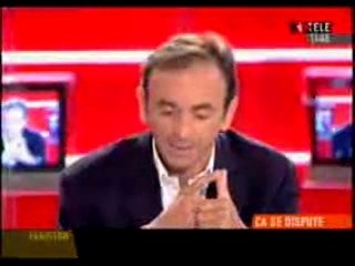 Immigration vue par Eric Zemmour