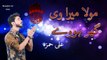 Moula Mera Ve Ghar Howay | Ali Hamza | 2016 Manqbat | Full HD.