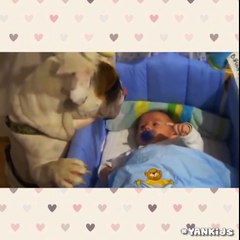 CẬU CỨ VIỆC NGỦ NGON, CẢ THẾ GIỚI CỨ ĐỂ TỚ LO