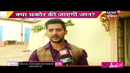Chakor Ki Jaan Khatre Mein!! Udann 29th March 2017