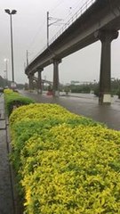 Heavy Rain Floods Brisbane Shopping Centre, Trapping Cars