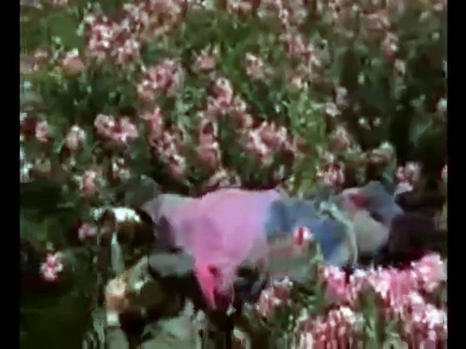 En DUYGUSAL Kürtce Müzik 2017 HD İZLE - YouTube