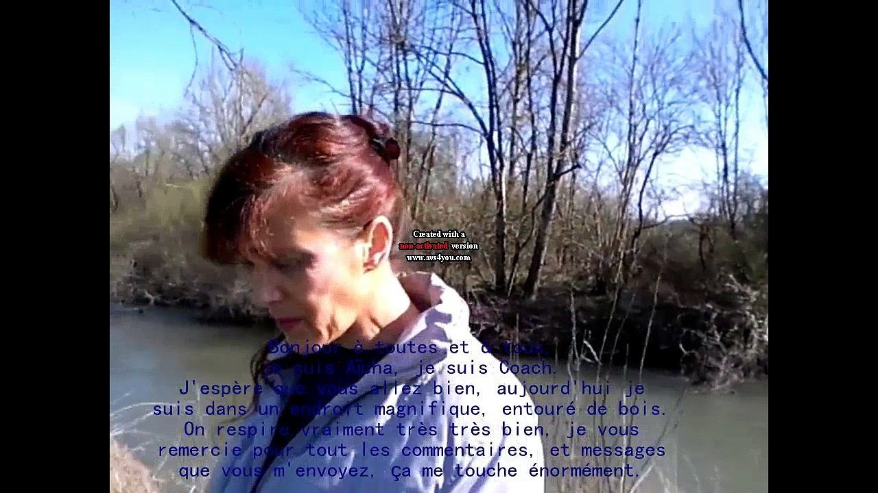 Les présidentielles 2017