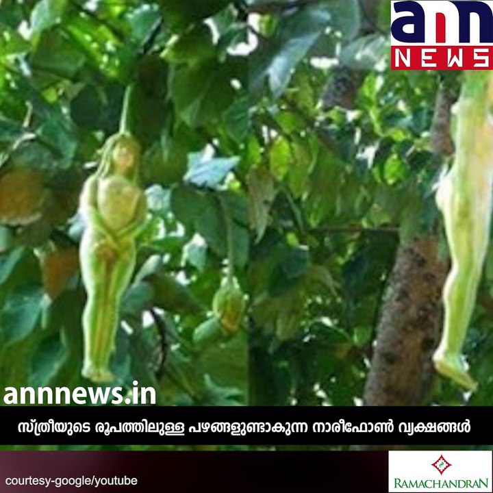 സ്ത്രീ രൂപം...സത്യമാണോ??? #AnnnewsLife