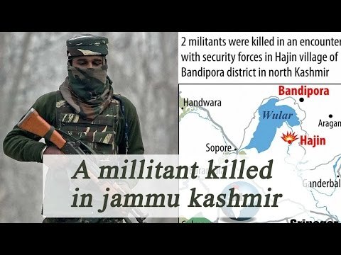 Kashmir: Militant killed in encounter with security forces in Bandipora district