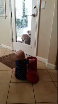 Un bébé mange les os du chien pendant qu'il est dehors