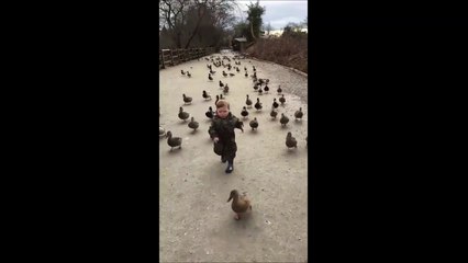 Cet enfant est le seigneur des canards