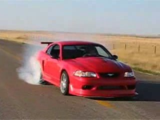 Mustang Cobra R Burnout
