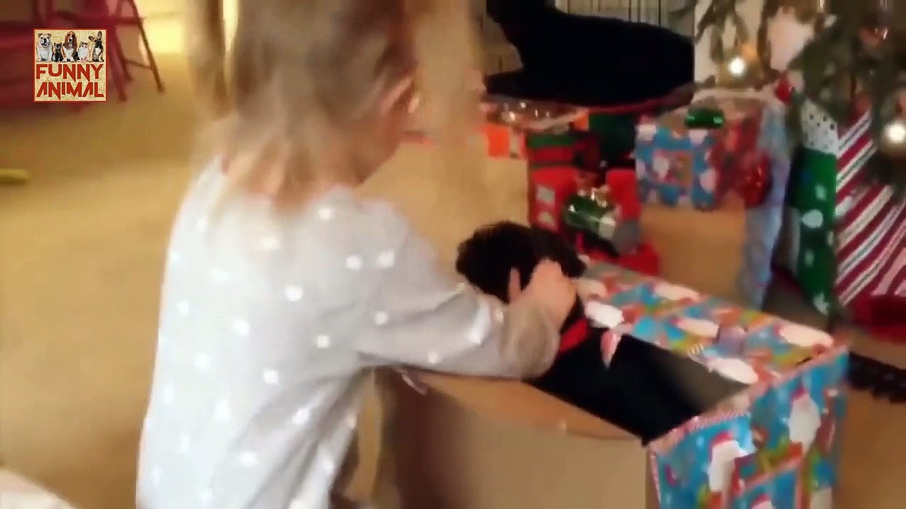 Cute Babies Playing with Dogs - Lindos bebés jugando con perros