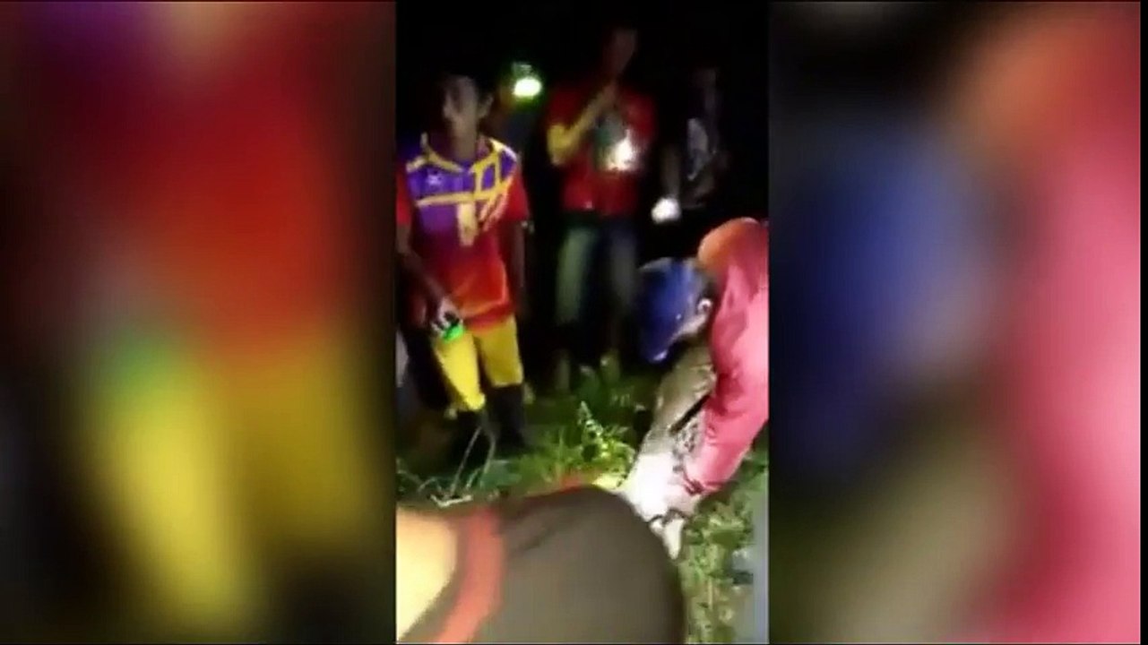 man eat by snake