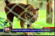 Venezuela: escasez de alimentos llega a zoológicos