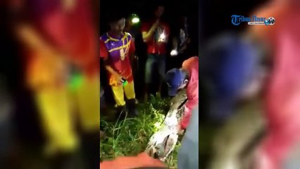 Missing man found in the stomach of 20-foot-long snake