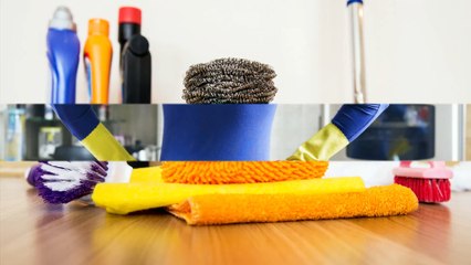 Organic Cleaning Service Inc - (914) 837-0510