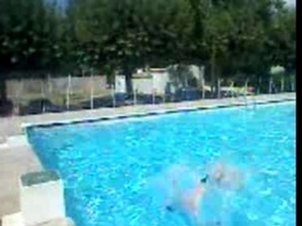 Jojo salto
