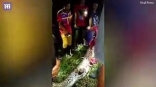 Missing Person Found Inside Python By Villagers