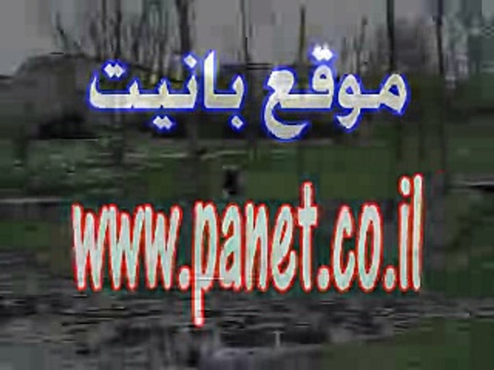 funy sports