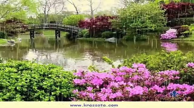 Спасибо Тебе группа Корнелис Христианская песня