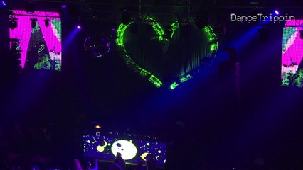 Pig & Dan at Green Love Festival, Novi Sad (Serbia)